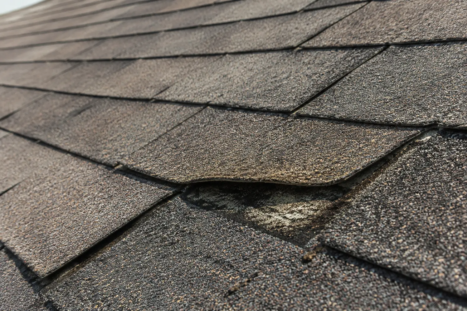 Close-up of aging asphalt shingles on a Florida roof with curling edges and visible granule loss